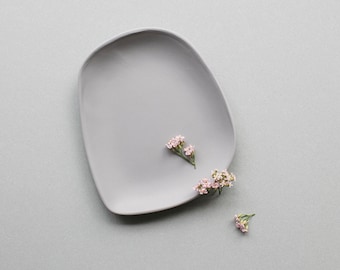 Plates porcelain small