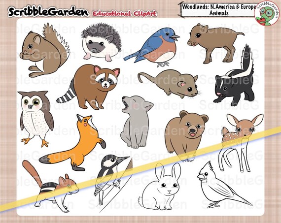 Habitat Animals Woodlands Of North America And Europe Etsy