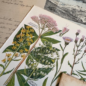 Bundle of over 100 vintage and antique paper ephemera pieces, including aged letters, postcards, and documents, arranged in a flat lay on a rustic wooden surface ready for scrapbooking and paper craft projects