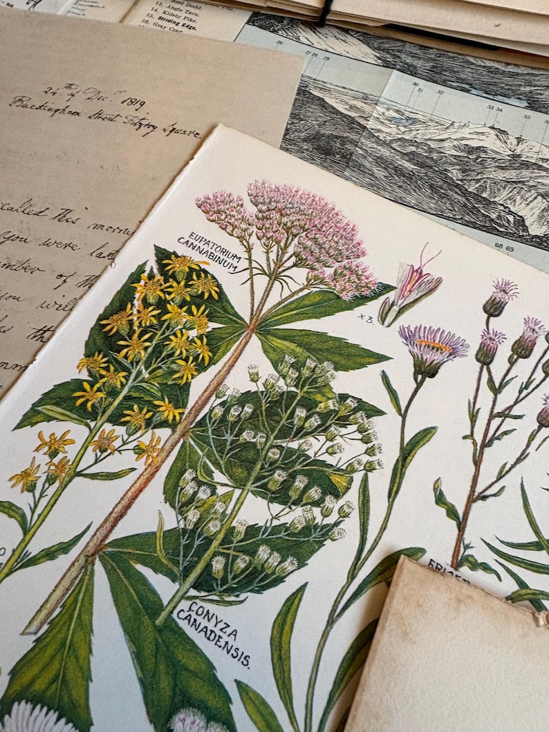 Bundle of over 100 vintage and antique paper ephemera pieces, including aged letters, postcards, and documents, arranged in a flat lay on a rustic wooden surface ready for scrapbooking and paper craft projects