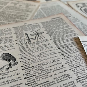 Vintage-Ephemera-Bundle: Über 100 antike Buchseiten für Junk Journals Bild 7