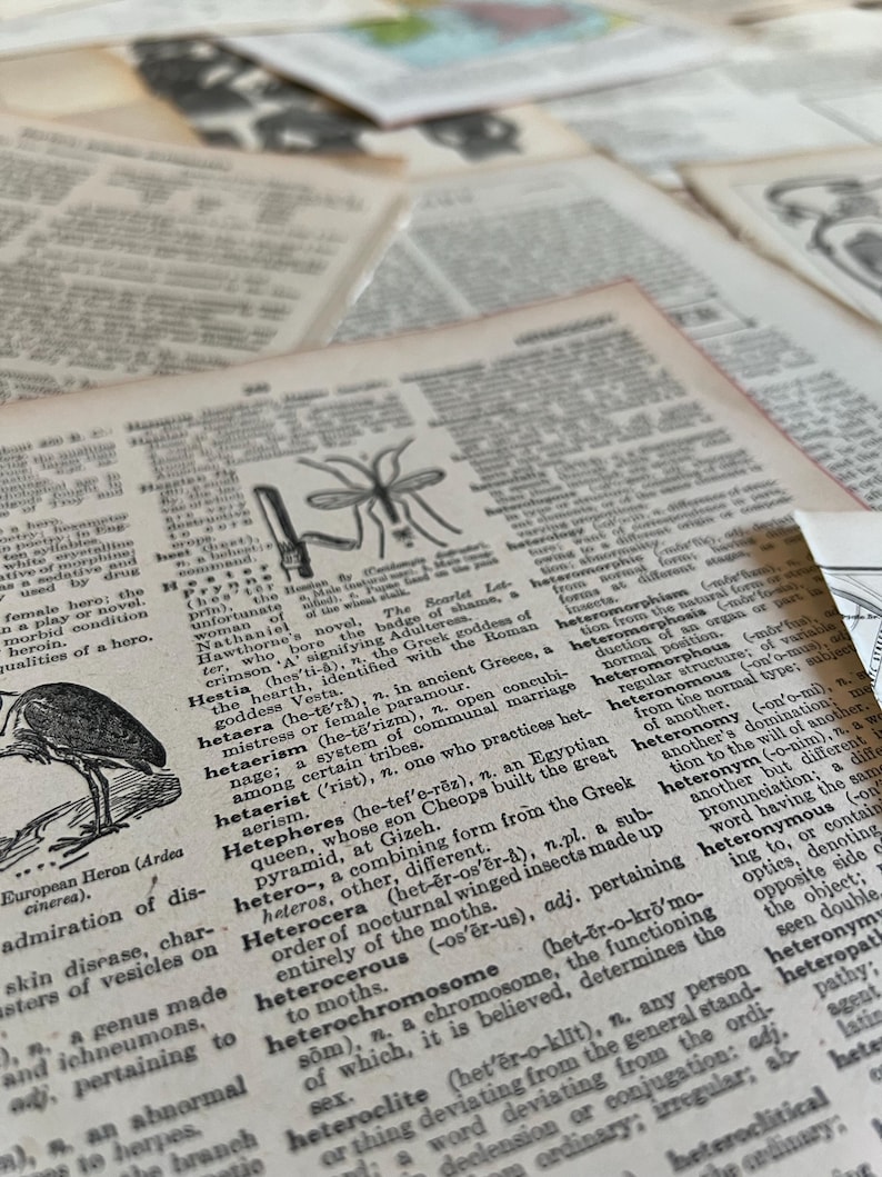 Vintage-Ephemera-Bundle: Über 100 antike Buchseiten für Junk Journals Bild 7