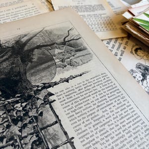 Confezione di carta effimera vintage: oltre 100 pagine di libri antichi per diari di scarto