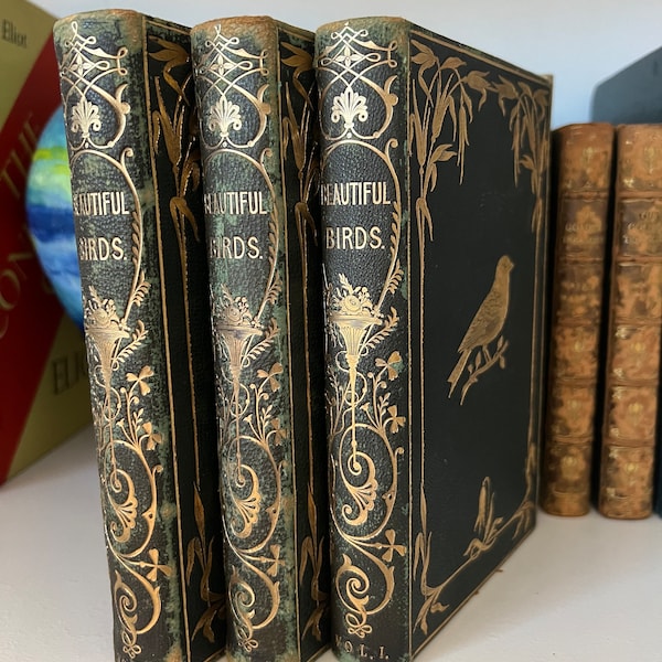 Beautiful Birds. Three volume book set. Their Natural History; including an Account of their Structure, Habits, Vol. I-III 1854