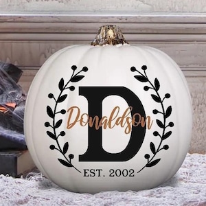 May include: A white pumpkin with a black letter "D" and the name "Donaldson" in a copper color. The design includes a black wreath and the text "EST. 2002". The pumpkin is a decorative item.