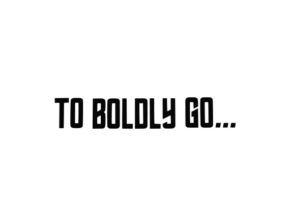 Star Trek Wedding To Boldly Go Car Decal Just Married Decal Etsy