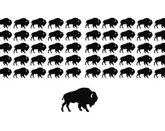 Buffalo Decals Choose your size and color! Buffalo Stickers Buffalo Theme Bison Decal Bison Sticker Buffalo Baby Shower American West