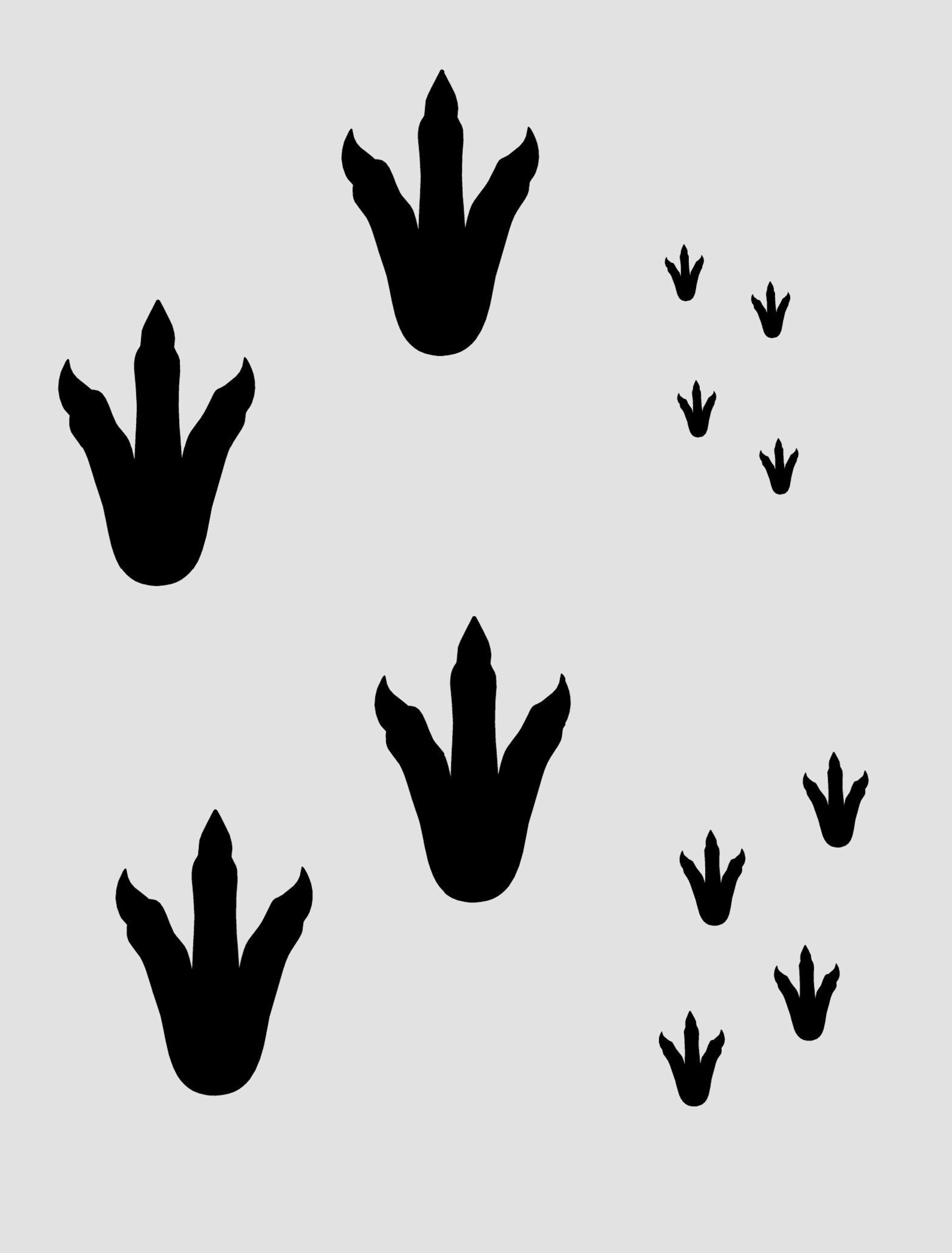 Dinosaur Footprint Decals 80 Dinosaur Decals 3 Sizes of Etsy