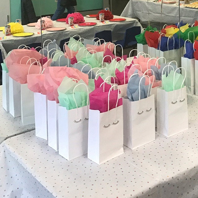Makeup Party Gift Bags 12 Eyelash Gift Bags Stashes and Lashes Etsy