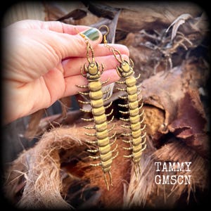 Articulated centipede earrings Brass Millipede earrings Bugs earrings Insects earrings Insect earrings Oversize Pierced ears Stretched lobes