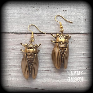 May include: A pair of gold-toned earrings featuring a cicada design. The earrings are made of metal and have a hook closure.