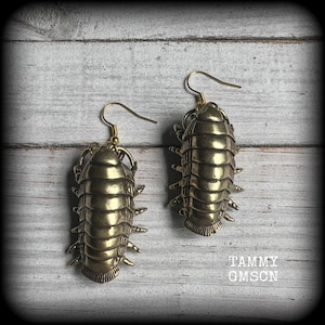 May include: A pair of brass-colored earrings shaped like segmented insects. Each earring has a hook for pierced ears and is detailed with multiple legs and body segments. The earrings are displayed against a weathered, light-colored wooden background.
