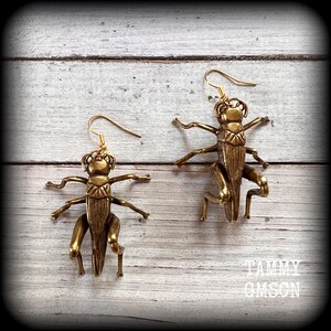 May include: A pair of brass-colored insect earrings. Each earring features a detailed grasshopper design with outstretched legs and delicate antennae. The earrings have a hook closure and are displayed on a light wood-grain surface.