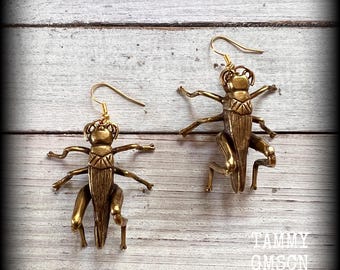 Insect earrings Cricket earrings Brass cricket earrings Insects ear gauges Brass ear hangers Bugs and insects gauge Bug hoe earrings Pierced