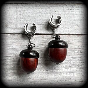 May include: Two acorn-shaped ear gauges. The gauges have a silver-colored, curved top and a dark brown, acorn-shaped bottom. The acorn is a reddish-brown color. The gauges are hanging against a white wooden background.