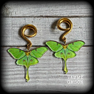 May include: A pair of gold-colored spiral earrings with green moth pendants. The moth pendants have detailed wing patterns and a long, pointed tail. The earrings are displayed on a weathered, gray wooden surface. The text "TAMMY GMSCN" is visible.