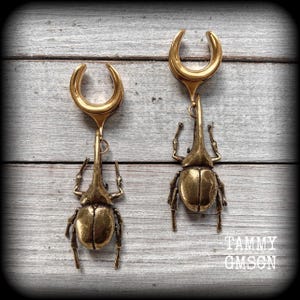 Può includere: Due dilatatori per orecchie color oro, ciascuno con una parte superiore a forma di mezzaluna e un ciondolo a forma di scarabeo. Gli scarabei hanno zampe e corpi dettagliati. Lo sfondo è una superficie di legno grigio chiaro. Il testo "TAMMY GMSON" è visibile.