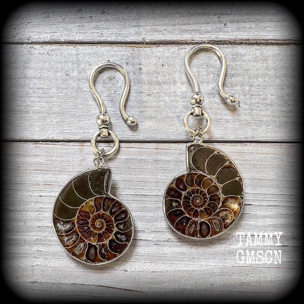 Ammonite fossil earrings 2 gauge ammonite ear hangers Nautilus gauges 6mm fossil ear weights 6mm Ammonite lobe hangers 8g 6g 4g 2g 0g 00g
