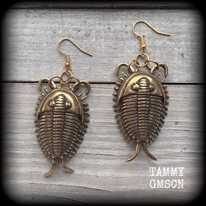 May include: A pair of brass-colored earrings shaped like trilobites. The earrings have a detailed, textured design and are suspended from gold-colored ear wires. The earrings are on a light gray wooden surface. The text "TAMMY GMSON" is in the lower right corner.
