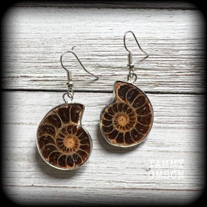 Boucles d'oreilles ammonite Boucles d'oreilles fossile Boucles d'oreilles Nautilus Boucles d'oreilles jurassique Boucles d'oreilles Fibonacci Jauges Bijoux de corps Bijoux fossiles Bijoux océan