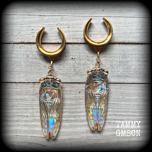 May include: A pair of gold-colored ear gauges with iridescent, clear cicada pendants. The gauges have a curved, horseshoe-like design. The cicada pendants have intricate details and a shimmering, multi-colored effect. The image is set against a weathered, gray wooden background.