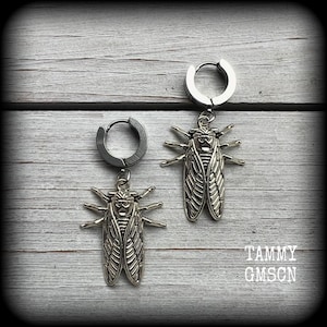 May include: A pair of silver-toned hoop earrings. Each earring features a detailed cicada charm with outstretched wings and six legs. The earrings are displayed on a light gray wooden surface.