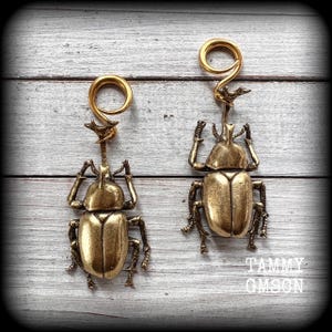 Può includere: Un paio di orecchini a forma di scarabeo dorati con un cerchio d'oro e un ciondolo a forma di scarabeo. Gli scarabei sono dettagliati e hanno un aspetto realistico.
