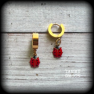 May include: Gold-tone hoop earrings with red ladybug charms. Each ladybug charm has black spots and a black head. The earrings are displayed on a light wood-grain surface. The text "TAMMY GMSON" is visible in the lower right corner.