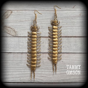 Pendientes de ciempiés articulados Pendientes de milpiés de latón Pendientes de bichos Pendientes de insectos Pendientes de insectos Orejas perforadas de gran tamaño Lóbulos estirados