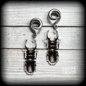 May include: A pair of silver-toned spiral earrings with dangling beetle pendants. The beetle pendants are black and white with intricate details. The earrings are displayed on a white wooden surface. The text "TAMMY GMSON" is visible.