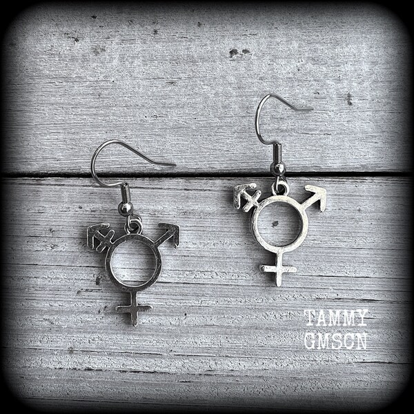 Transgender symbol earrings Androgyne earrings Gender inclusivity earrings Gender Ze/Hir Gauges Pierced ears 14g 12g 10g 8g 6g 4g 2g 0g 00g