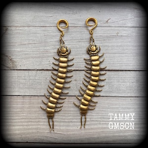 May include: A pair of brass-colored centipede earrings. Each earring features a detailed insect design with multiple segments and legs, suspended from a spiral hook. The earrings are displayed on a weathered wooden surface. The text "TAMMY GMSCN" is visible.