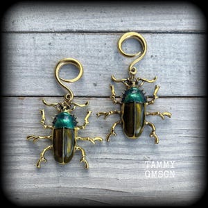 Può includere: Un paio di pesi per orecchie color oro con design a scarabeo, testa verde metallizzata e ali marrone scuro. Ogni pezzo ha un occhiello superiore a spirale per appenderlo. Il testo TAMMY GMSCN è visibile nell'angolo in basso a destra.