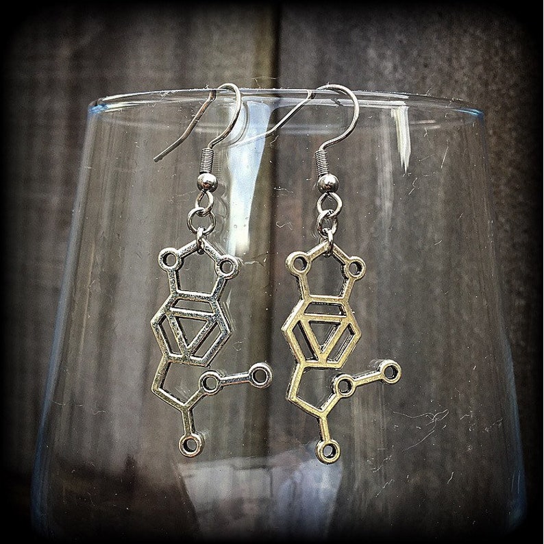 These awesome earrings feature a pair of antique silver MDMA molecules, measuring just under 5cms from tip to tip, weighing only a gram or two each.

This pair have been made with stainless steel french hooks, for pierced ears.