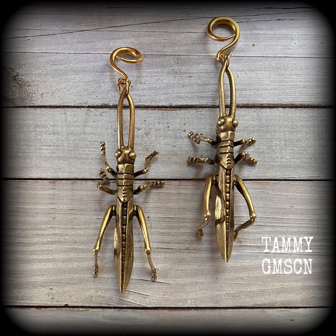 Large Cricket Ear Weights Brass Ear Hangers Gauged Earrings Insect Ear ...
