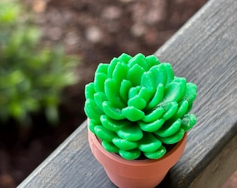 3D Printed Succulent Fidget | Stress Relief Desk Toy