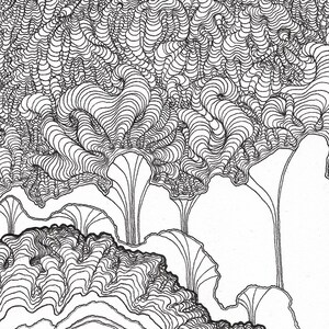 May include: Black and white line drawing of a stylized abstract design with a series of overlapping, curved lines creating a pattern of organic shapes.