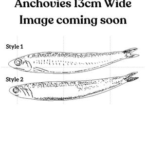 May include: A black and white line drawing of two anchovy fish designs labelled Style 1 and Style 2. The text at the top reads Anchovies 13cm Wide Image coming soon. The fish are depicted in profile with visible scales, fins, and eye details.