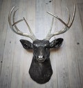 Faux Taxidermy Deer Head Wall Mount, Faux Stag Head Wall Art