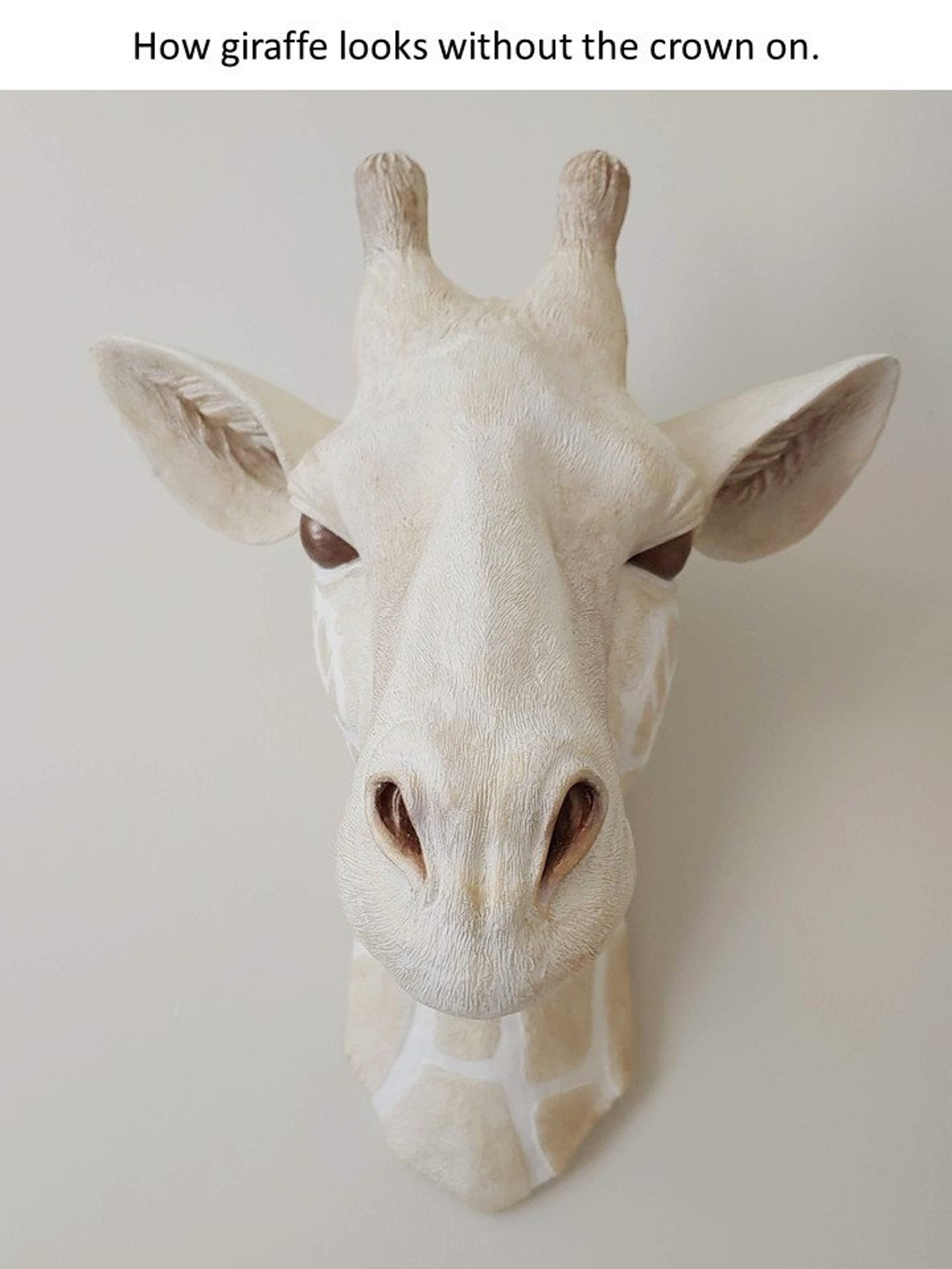 Giraffe Head Wall Decor Faux Taxidermy Giraffe Head Nursery Etsy