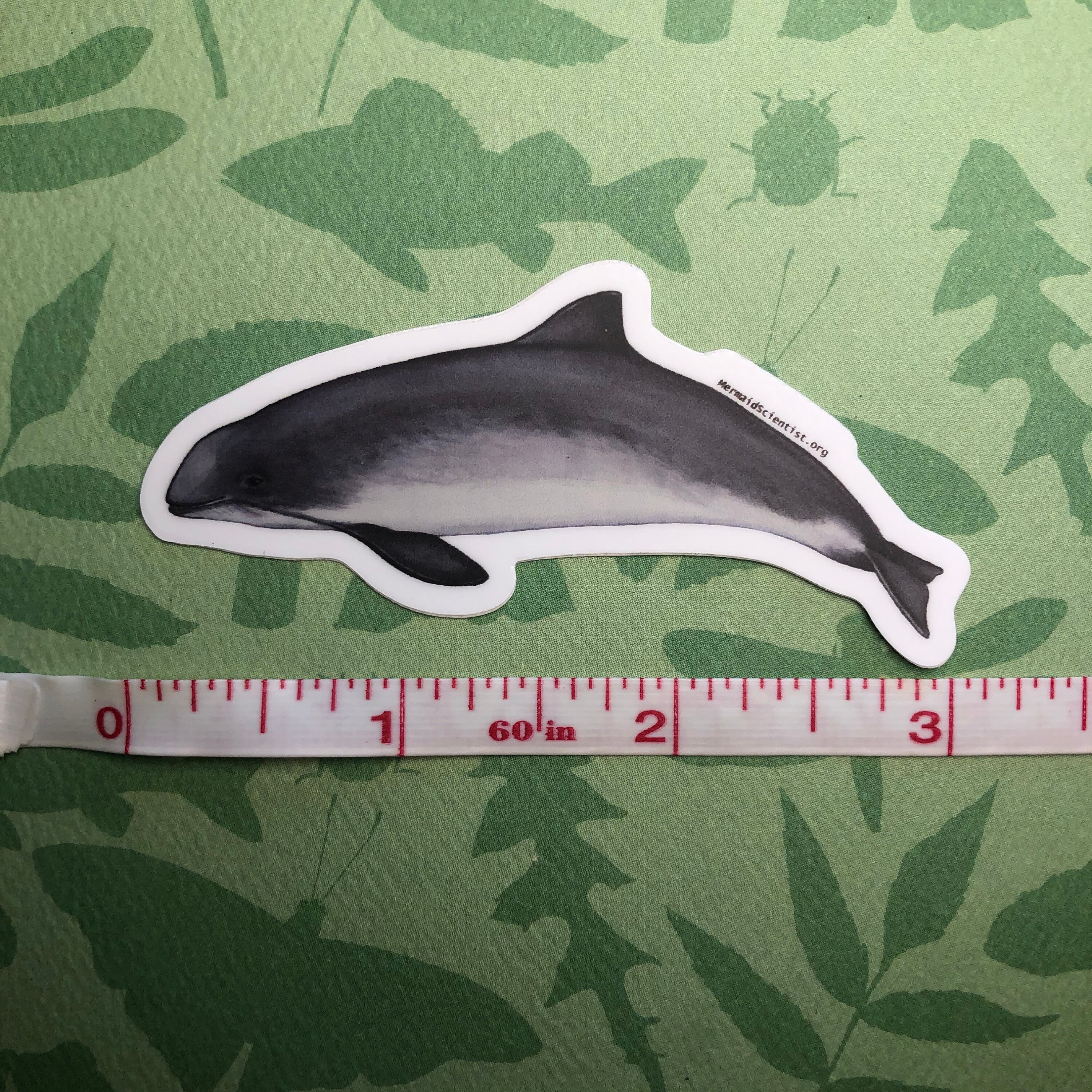 1 Harbor Porpoise Sticker waterproof 3"