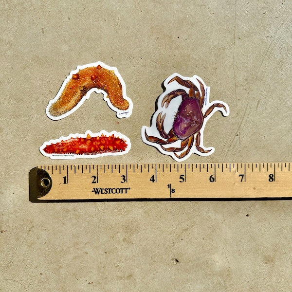 Benthic Invertebrates of California Waterproof STICKERS (3 COUNT)