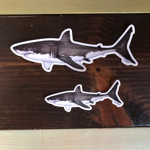 XL 8 inch White Shark Sticker