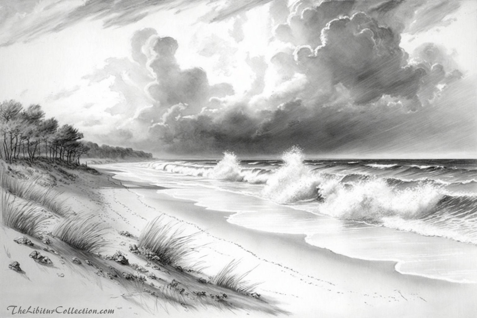 Beach Illustration Sketch Beach Illustration Sketch