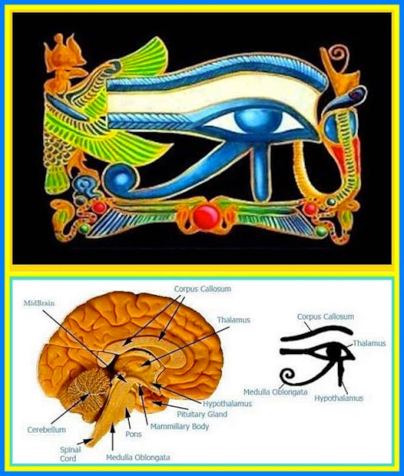 Necklace - All Seeing Eye, the Pineal Gland Symbol REDUCED - Etsy