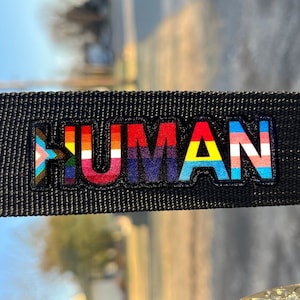 May include: A black guitar strap with a rainbow-colored patch that says "HUMAN" in black letters.