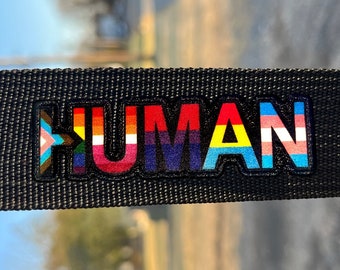 Progress Human LGBT Flags Rainbow Lesbian Bisexual Pansexual Transgender - 4 inch Iron-on Embroidered Patch