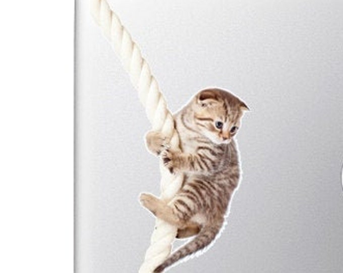 Scottish fold kitten climbing on rope - Vibrant High Resolution Full Color Vinyl Decal Sticker