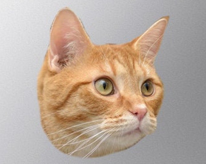 Cute orange tabby cat face - Vibrant High Resolution Full Color Vinyl Decal Sticker