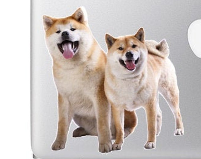 Akitas and Shiba Inu Cute and Fluffy - Vibrant Vinyl Decal Sticker